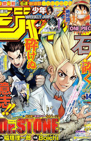 Dr. Stone