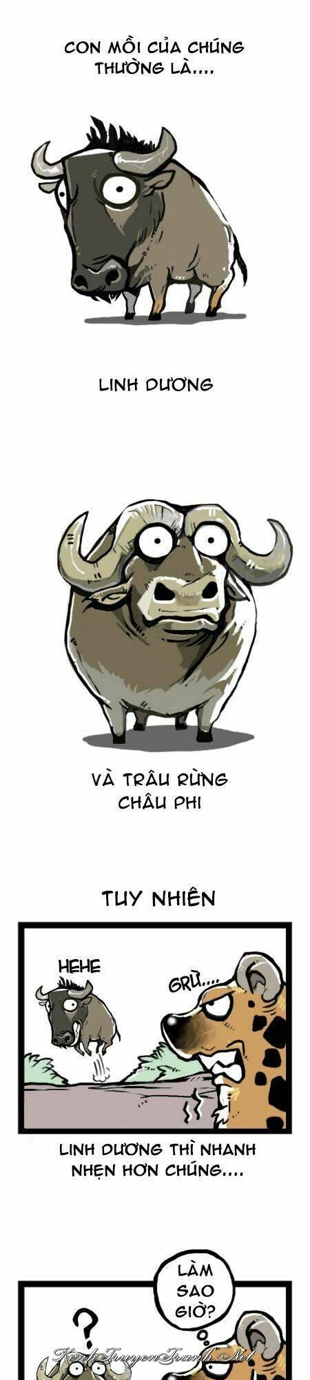 Kênh Truyện Tranh